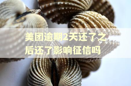 美团逾期2天还了之后还了影响征信吗