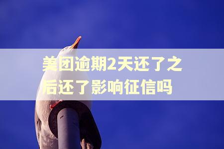 美团逾期2天还了之后还了影响征信吗