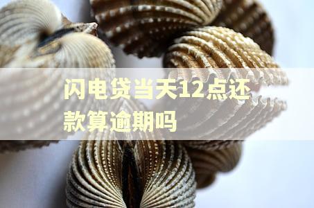 闪电贷当天12点还款算逾期吗