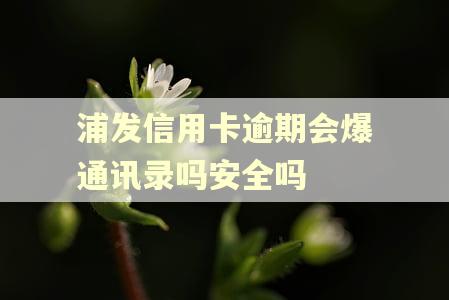 浦发信用卡逾期会爆通讯录吗安全吗 浦发信用卡逾期会爆通讯录吗安全吗