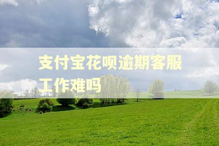 支付宝花呗逾期客服工作难吗