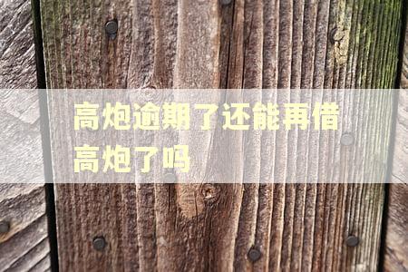 高炮逾期了还能再借高炮了吗