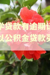 助学贷款有逾期记录可以公积金贷款买房吗