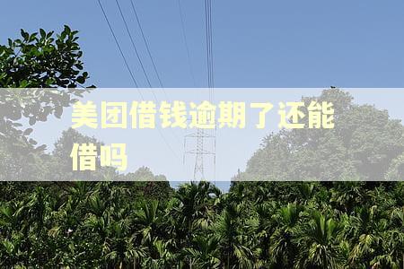 美团借钱逾期了还能借吗