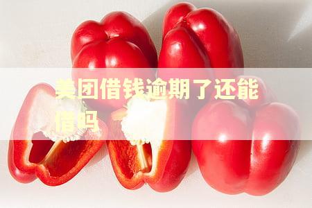 美团借钱逾期了还能借吗