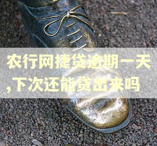 农行网捷贷逾期一天,下次还能贷出来吗