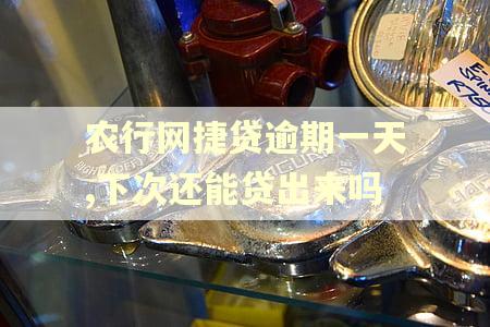 农行网捷贷逾期一天,下次还能贷出来吗