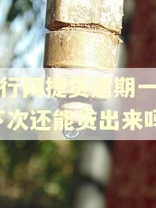 农行网捷贷逾期一天,下次还能贷出来吗