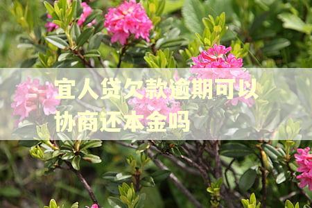 宜人贷欠款逾期可以协商还本金吗