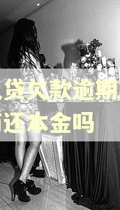 宜人贷欠款逾期可以协商还本金吗