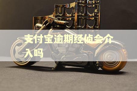 支付宝逾期经侦会介入吗