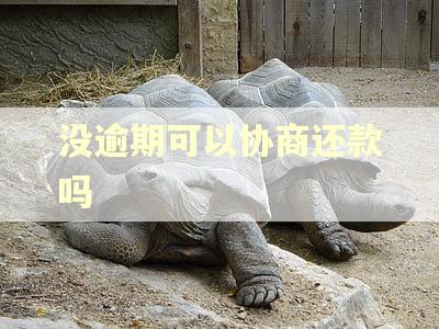 没逾期可以协商还款吗