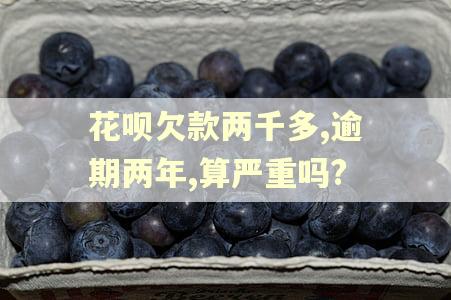 花呗欠款两千多,逾期两年,算严重吗?