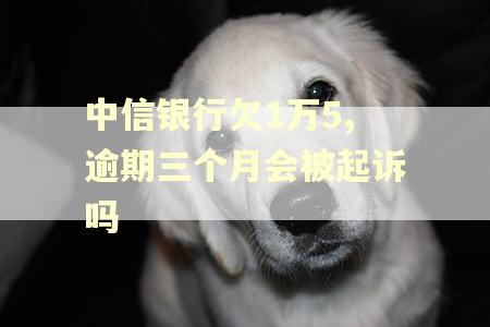 中信银行欠1万5,逾期三个月会被起诉吗