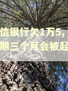 中信银行欠1万5,逾期三个月会被起诉吗