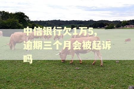 中信银行欠1万5,逾期三个月会被起诉吗
