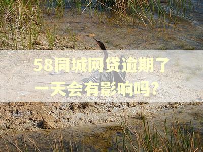 58同城网贷逾期了一天会有影响吗?