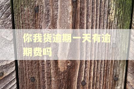 你我货逾期一天有逾期费吗