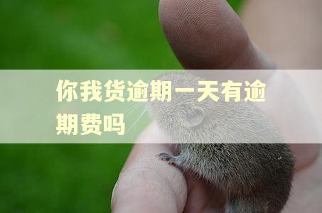 你我货逾期一天有逾期费吗 你我货逾期一天有逾期费吗