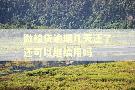 微粒贷逾期几天还了还可以继续用吗