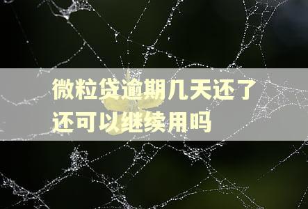 微粒贷逾期几天还了还可以继续用吗