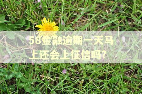 58金融逾期一天马上还会上征信吗?