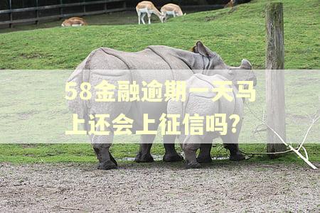 58金融逾期一天马上还会上征信吗?