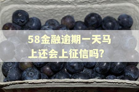 58金融逾期一天马上还会上征信吗? 58金融逾期一天马上还会上征信吗?