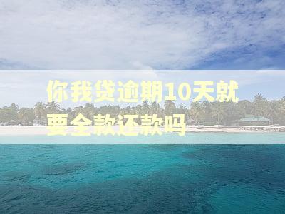 你我贷逾期10天就要全款还款吗