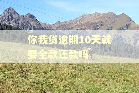 你我贷逾期10天就要全款还款吗 你我贷逾期10天就要全款还款吗