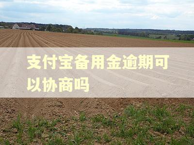 支付宝备用金逾期可以协商吗