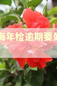 上海年检逾期要处罚吗