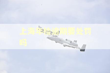 上海年检逾期要处罚吗 上海年检逾期要处罚吗