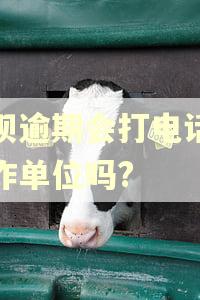 借呗逾期会打电话给工作单位吗?