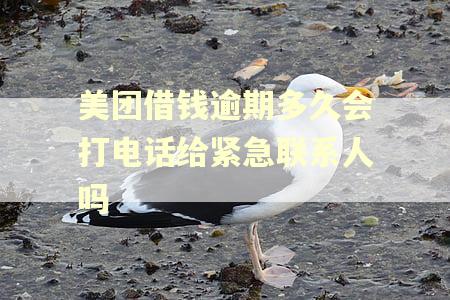 美团借钱逾期多久会打电话给紧急联系人吗 美团借钱逾期多久会打电话给紧急联系人吗
