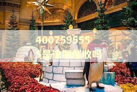 4007595555是逾期催收吗