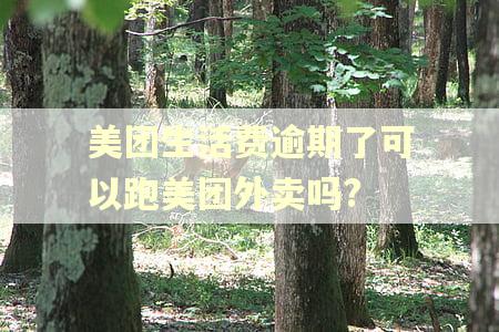 美团生活费逾期了可以跑美团外卖吗?