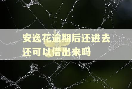 安逸花逾期后还进去还可以借出来吗