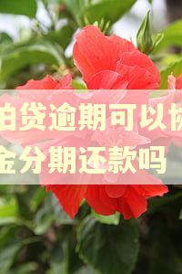 拍拍贷逾期可以协商本金分期还款吗