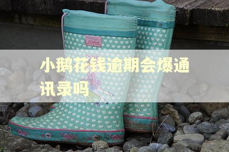 小鹅花钱逾期会爆通讯录吗