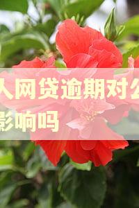 法人网贷逾期对公司有影响吗