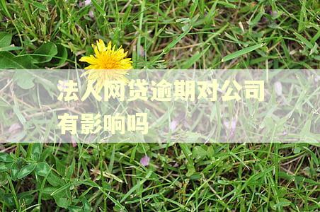 法人网贷逾期对公司有影响吗