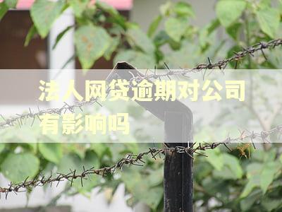 法人网贷逾期对公司有影响吗 法人网贷逾期对公司有影响吗