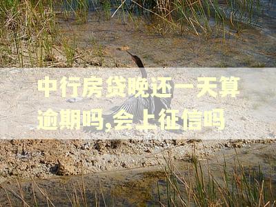 中行房贷晚还一天算逾期吗,会上征信吗
