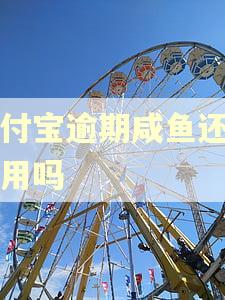 支付宝逾期咸鱼还可以用吗