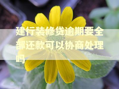 建行装修贷逾期要全部还款可以协商处理吗