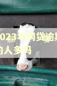 2023年网贷逾期的人多吗