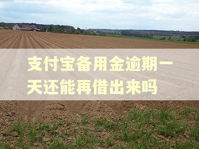 支付宝备用金逾期一天还能再借出来吗