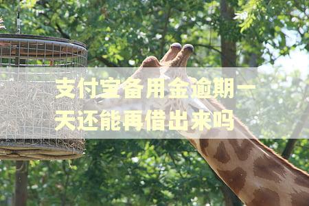 支付宝备用金逾期一天还能再借出来吗