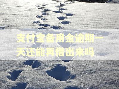 支付宝备用金逾期一天还能再借出来吗